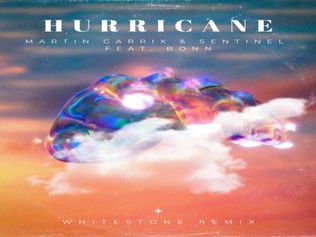HITS: Martin Garrix & Sentinel Feat. Bonn - Hurricane (Del 1 de Enero Al 14 De Enero 2024)