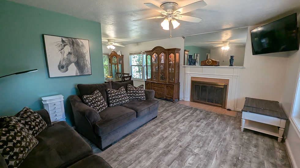 Living room with horse art