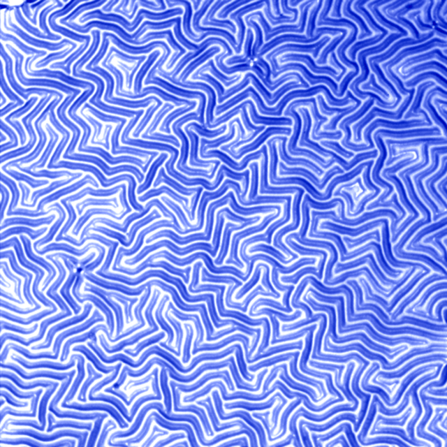 Thin Films.gif