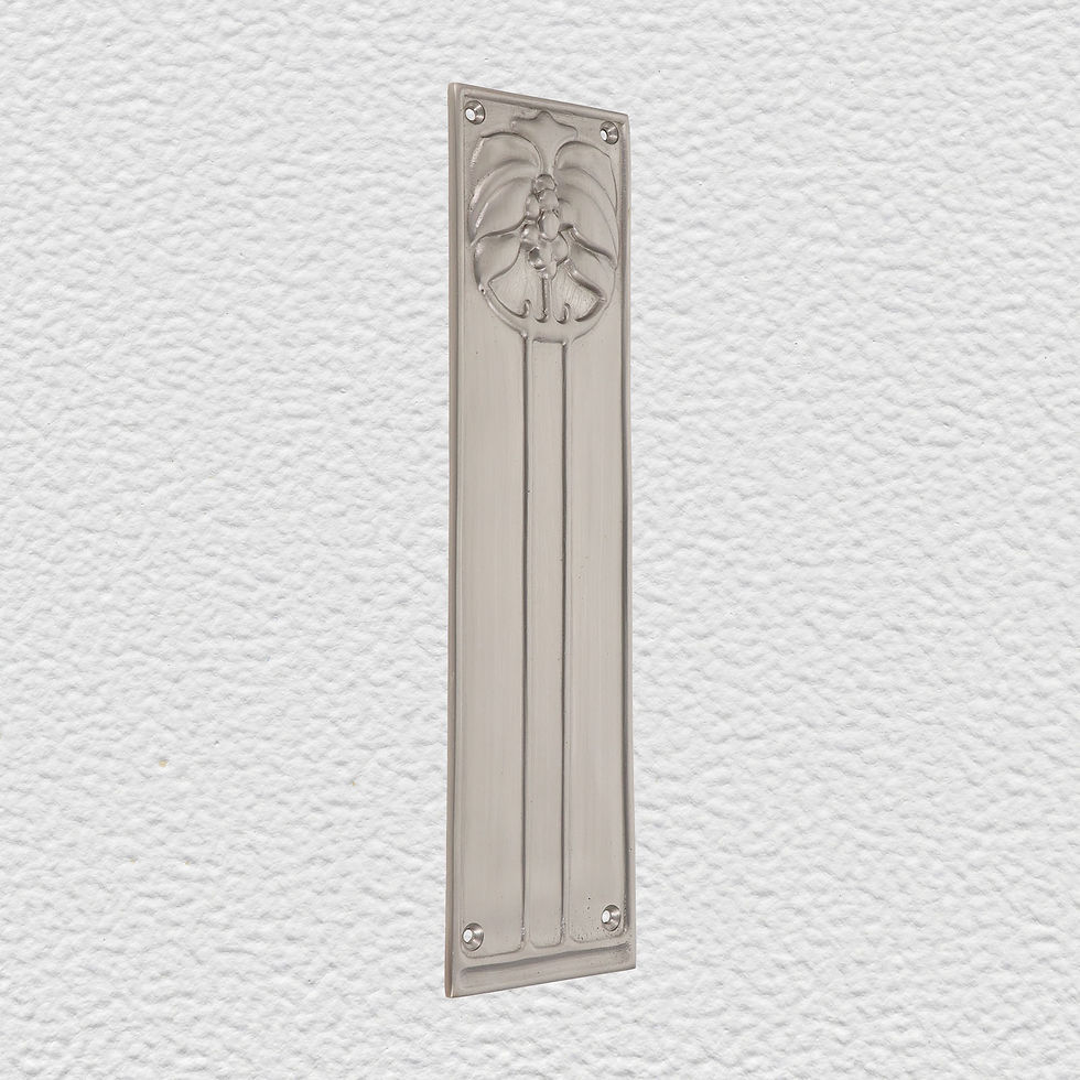 Thumbnail: Domino Brass - 5700 Decorative Push Plate H257xW68mm