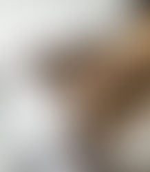 🐶 If My Pets Could Leave Yelp Reviews (Spoiler: They Have Opinions)