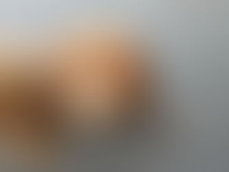 蝉