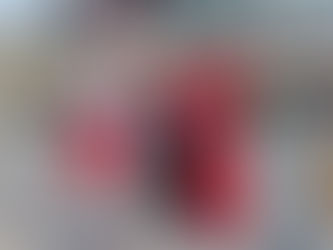 Lady Gaga The MAYHEM Ball