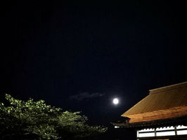 TBT・2008年　源氏物語千年