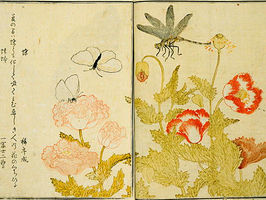 夏から秋へひと段落