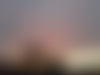 週末展覧会情報・2024年11月第二週