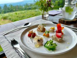 ブルーベリーフィールズ紀伊国屋