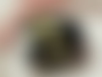 高蒔絵香合「金桜」