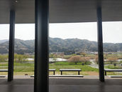 季の詞歳時記「芽吹き」