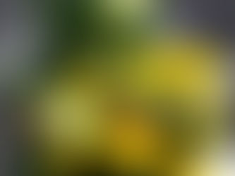 季の詞歳時記「秋彼岸」