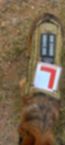 Garstkloof landfill 15 L