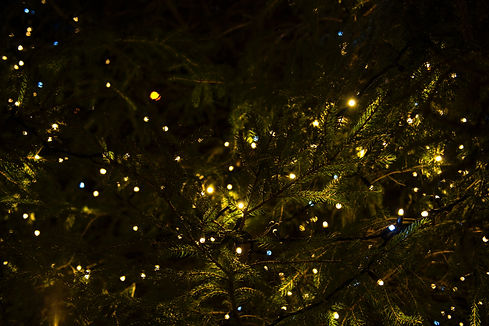 Christmas Lights_edited.jpg
