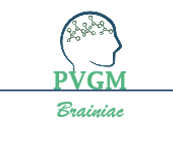 logo pvgm groen groen.png