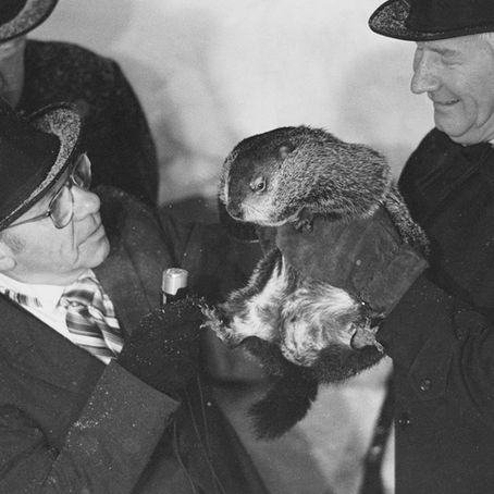 8 Facts About Groundhogs' Day You Probably Didn't Know