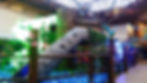 Pandora Park