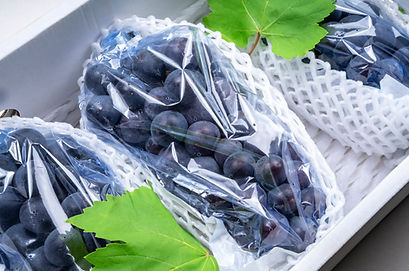 Wine grape in packaging isolated on whit