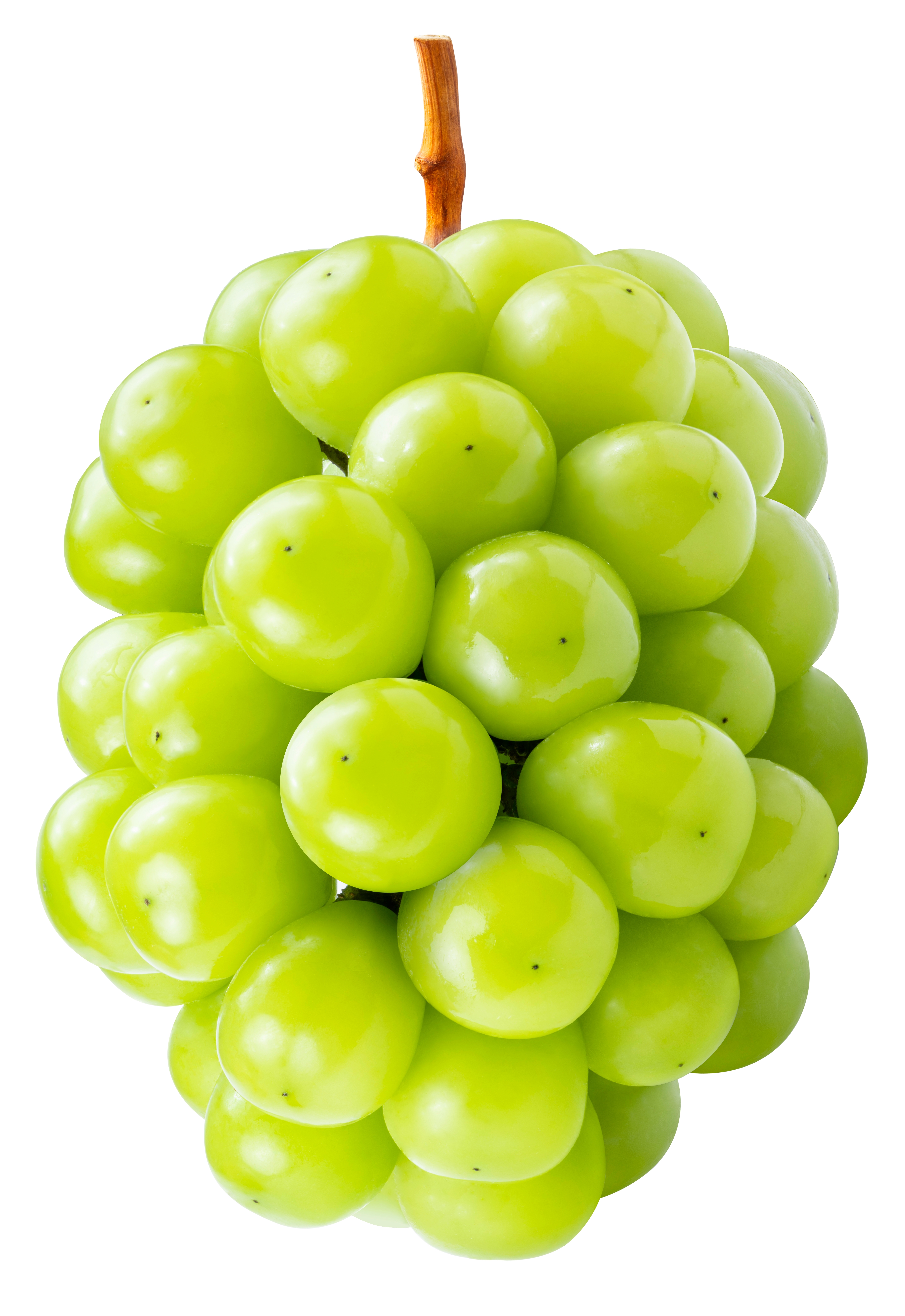 shutterstock_2502714155.jpg