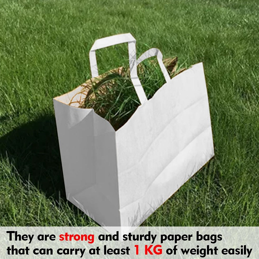 Thumbnail: 250 x Paper Carrier Bags with Flat Handle 7"x9"x3.5" White Kraft Shopping Bag