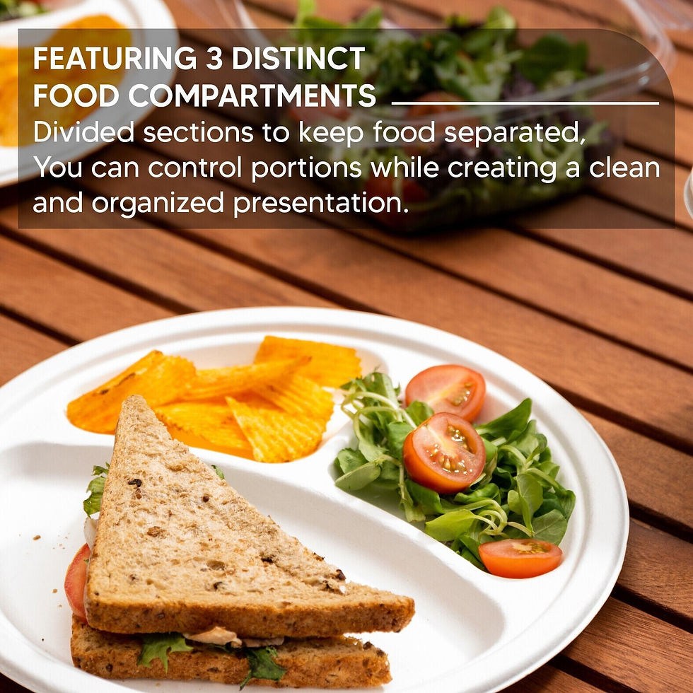 3 section plastic plates