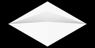 C1.jpg
