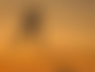 Why you Should be BRAVE with your One and ONLY Life!