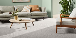 Large range of Carpet and vinyl