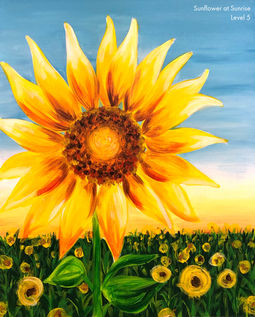 Sunflower at Sunrise