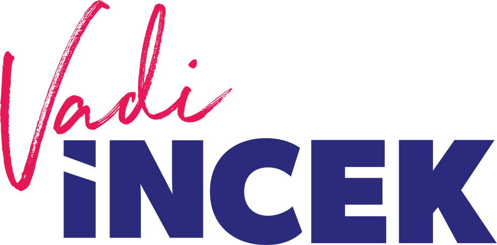 Vadi İncek Genel Logo.png