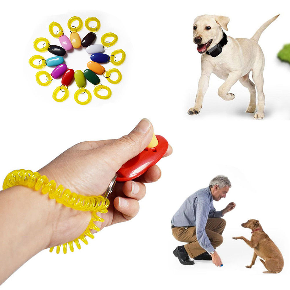 Clicker Para Adiestramiento Canino 🐶🐶🐕🐾🐾