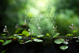 Existe-t-il une chimie « plus verte » ?