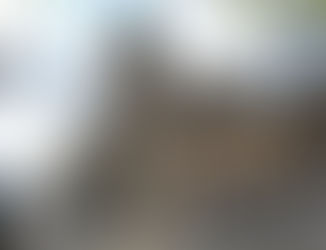 Labour win Rutherglen and Hamilton West 