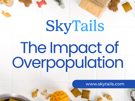 The Impact Of Overpopulation