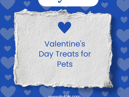 Valentine's Day Treats for Pets
