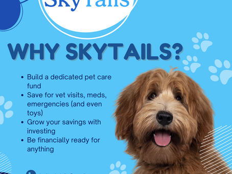 Positive Things That Cost Money for Pets (And Why They’re Totally Worth It!)