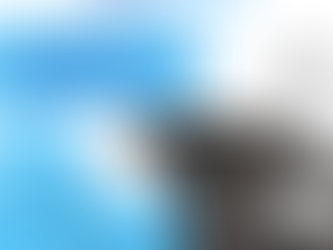 Supporting Shelters Without Adopting (Yet)