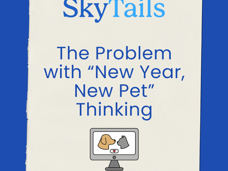 The Problem with “New Year, New Pet” Thinking