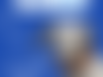 Why It’s a Great Time to Adopt or Foster A Pet During The Holiday Season