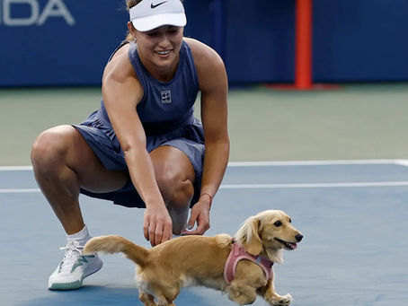 Winning With Bella: Why Pets Deserve a Financial Safety Net Too