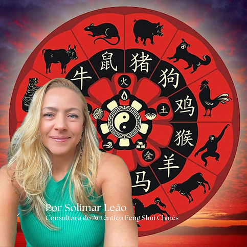 Solimar Leão_Mapa Astrológico Chinês.png