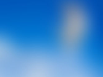 Fall from Heights and your Dog