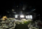 Grupos Musicales Para Bodas VIP