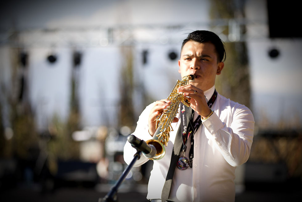 Grupos Musicales U Party Toluca y Queretaro