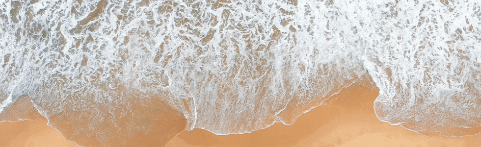 GRUPOS MUSICALES EN ACAPULCO