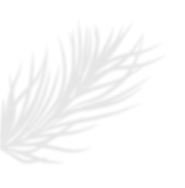 SUNRAE (13)_edited.png