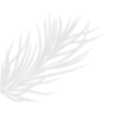SUNRAE (13)_edited.png