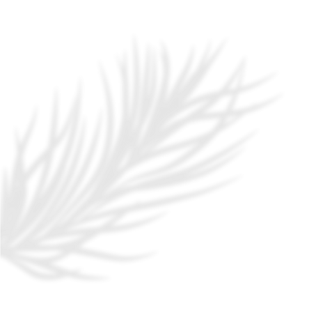 SUNRAE (13)_edited.png