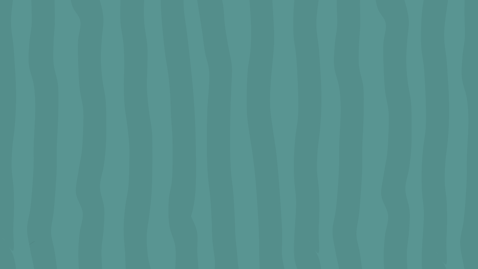 SUNRAE (16).png