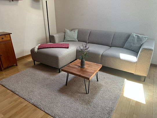 Wohnzimmer2_Schwalbenaescht