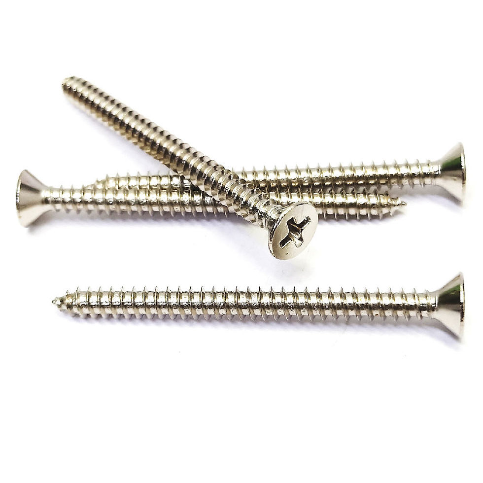 FH0820 #8x2'' Self Tapping Screw