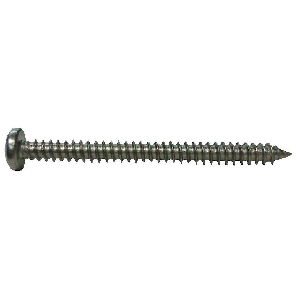 PAN Self Tapping Screw+ 8x2-1/2" A2-304 SS